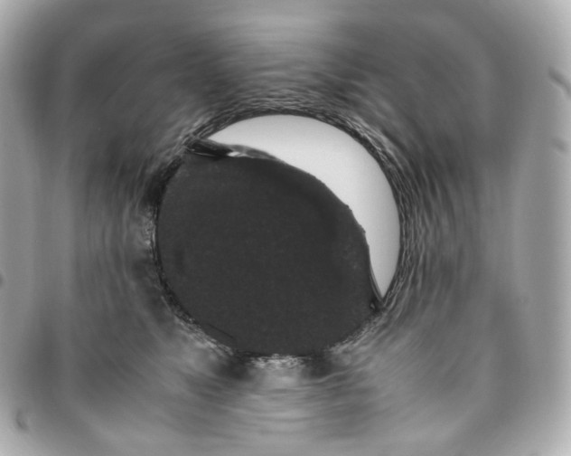 X0000095910517200802011153