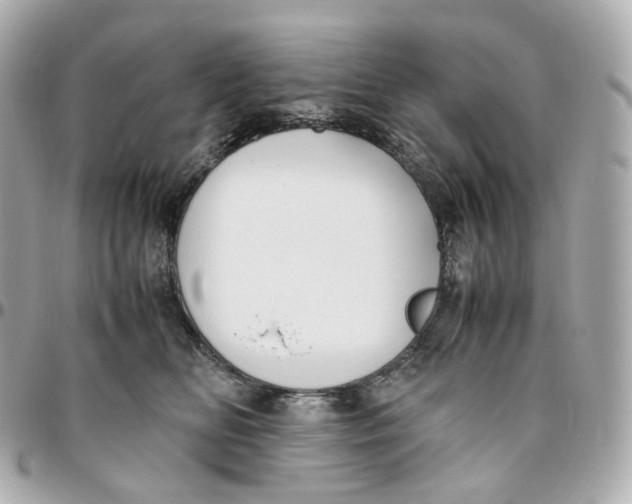 X0000095910518200802011153