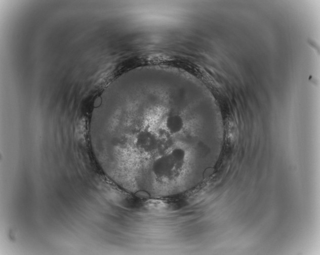 X0000095910519200802011153