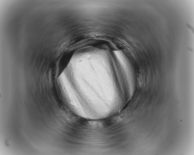 X0000095910520200802011153