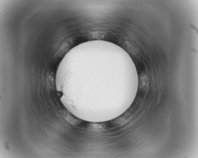 X0000095910522200802011153