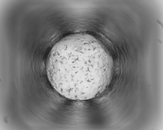 X0000095910523200802011153