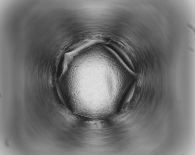 X0000095910524200802011153