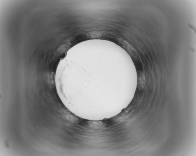 X0000095910525200802011153