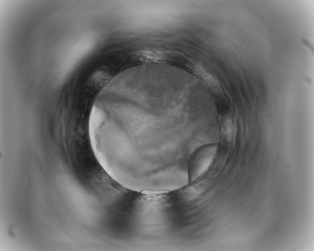 X0000095910526200802011153