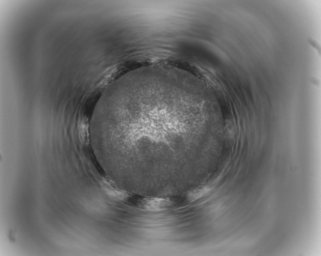 X0000095910527200802011153