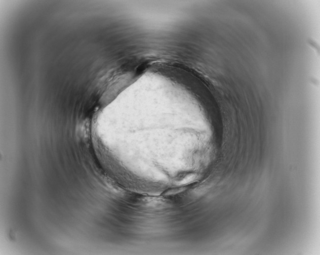 X0000095910528200802011153