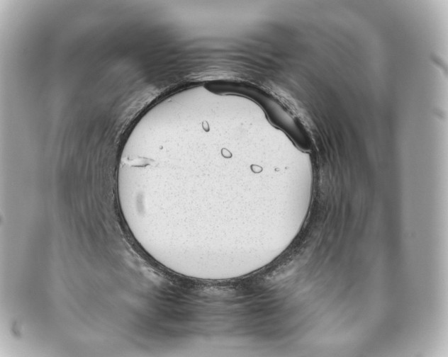 X0000095910529200802011152