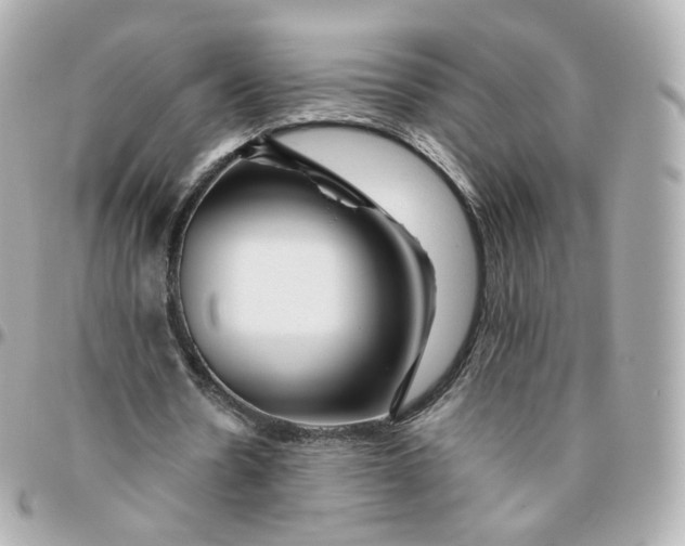 X0000095910530200802011152