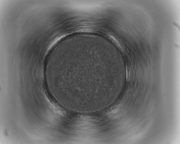 X0000095910531200802011152