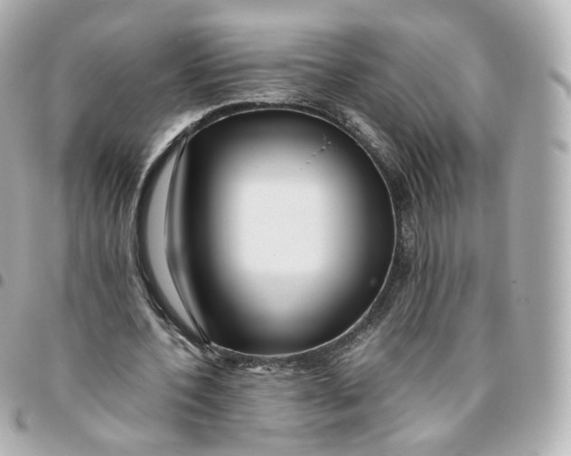 X0000095910532200802011152