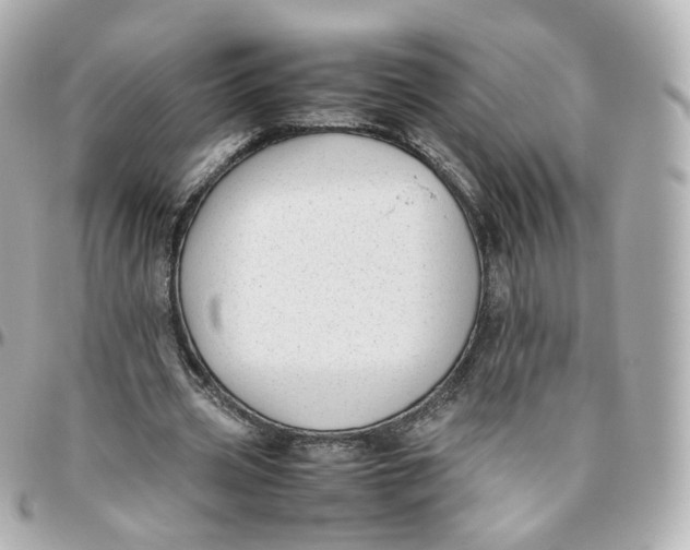 X0000095910533200802011152