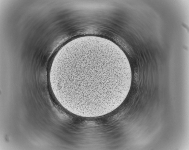 X0000095910534200802011152