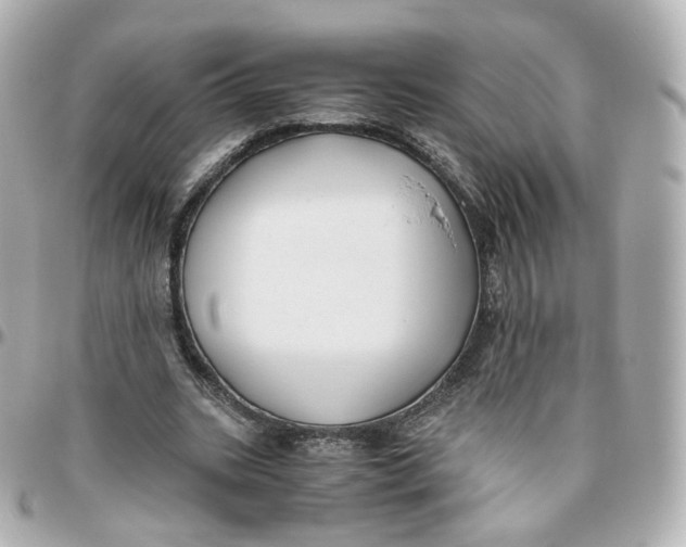 X0000095910535200802011152