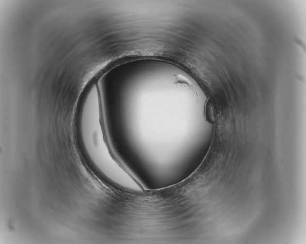 X0000095910536200802011152