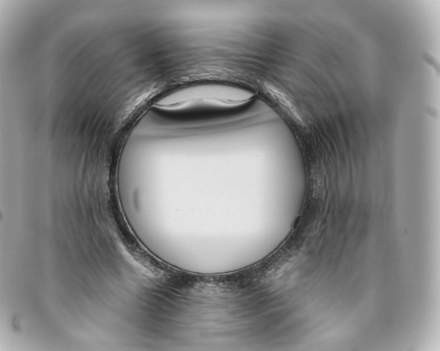 X0000095910538200802011153