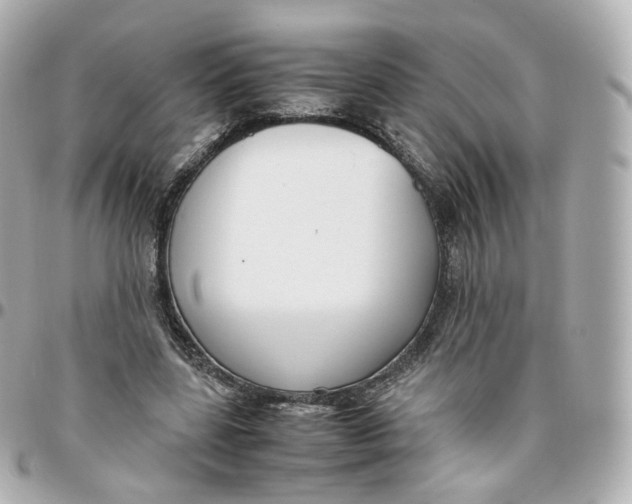 X0000095910539200802011153