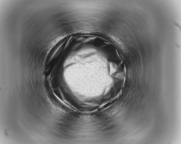 X0000095910540200802011153