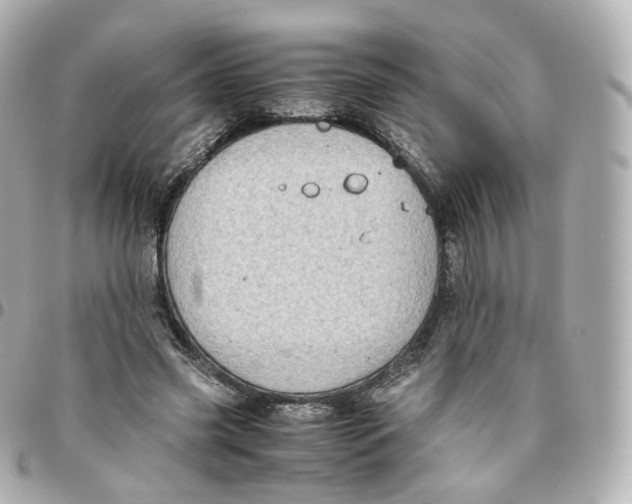 X0000095910541200802011153