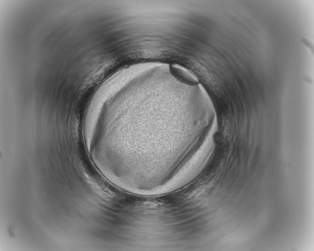 X0000095910542200802011153