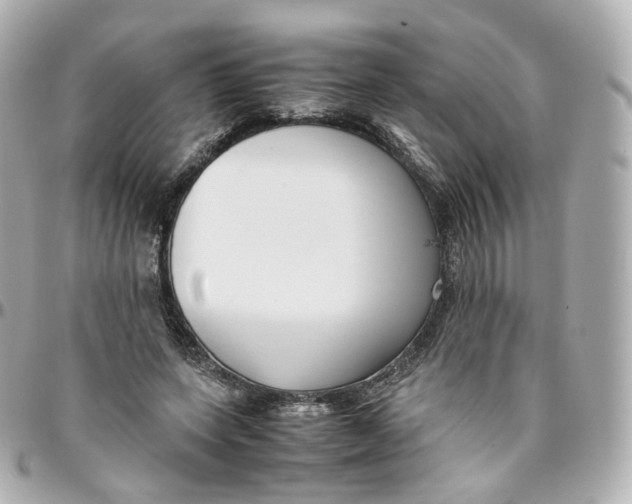 X0000095910543200802011153