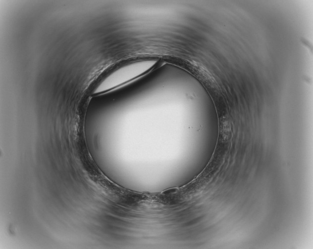 X0000095910544200802011153