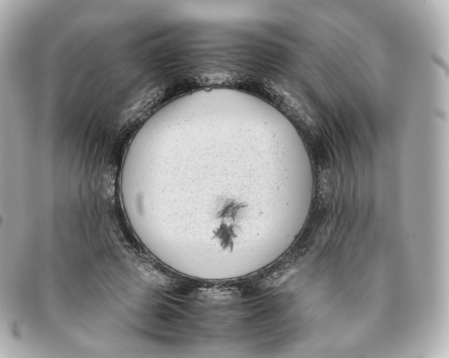 X0000095910545200802011153