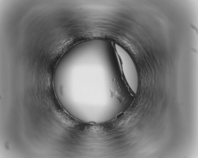 X0000095910546200802011153