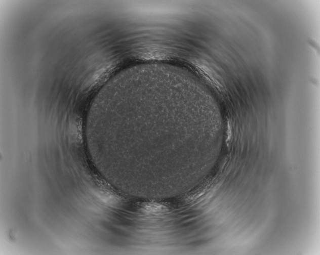 X0000095910547200802011153