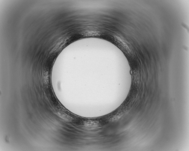 X0000095910549200802011153