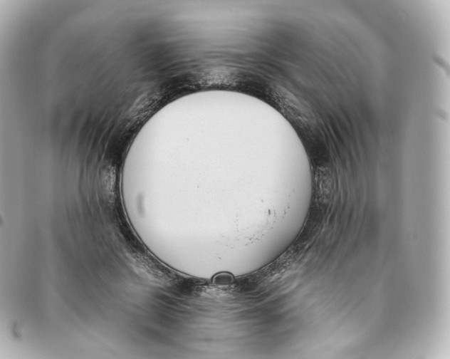 X0000095910550200802011153