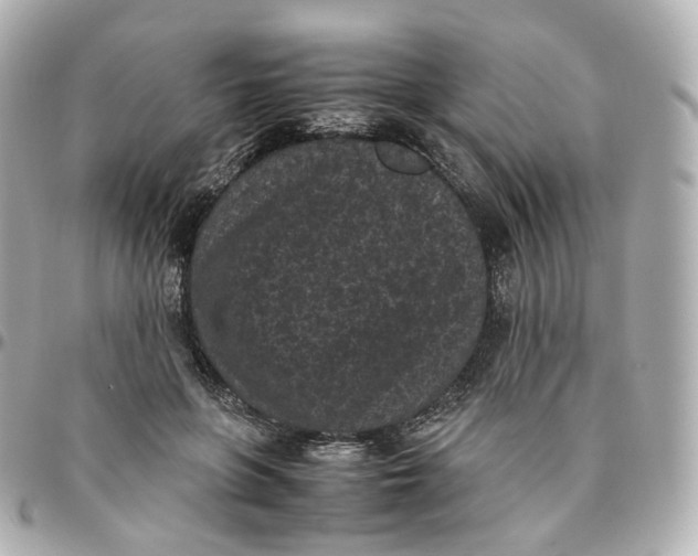 X0000095910551200802011153