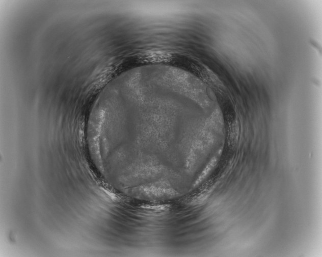 X0000095910553200802011153