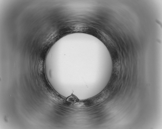 X0000095910554200802011153