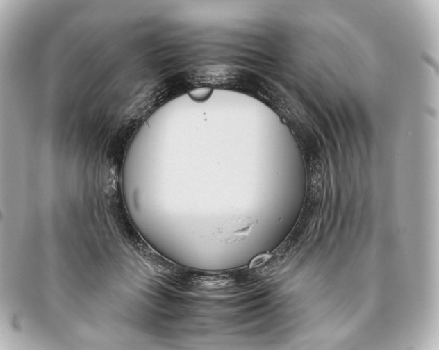 X0000095910555200802011153