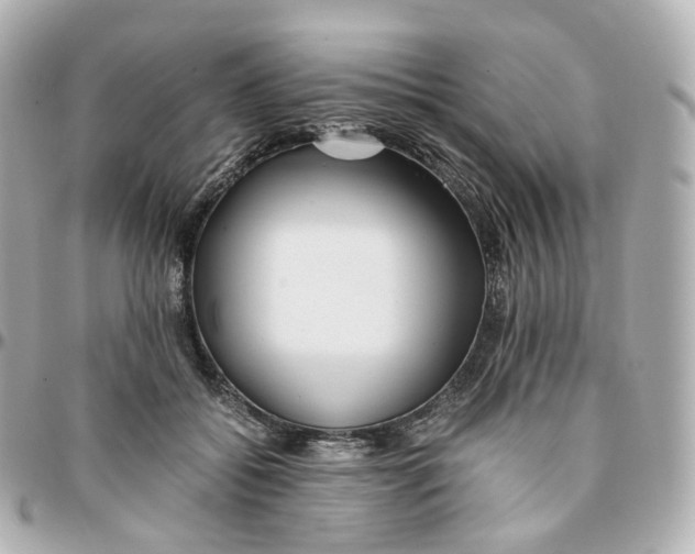 X0000095910556200802011153