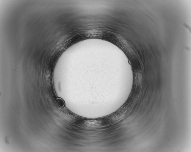 X0000095910557200802011153