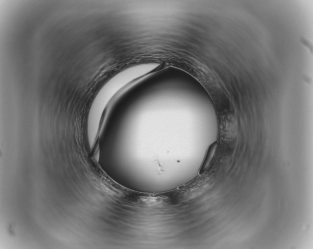 X0000095910558200802011153