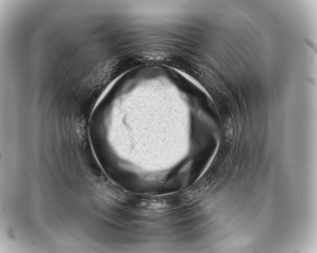 X0000095910559200802011153