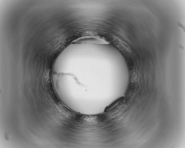 X0000095910560200802011153