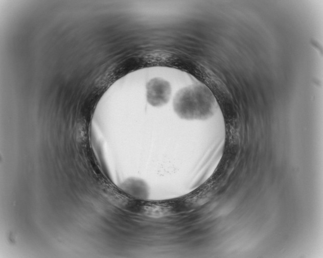 X0000095910561200802011153