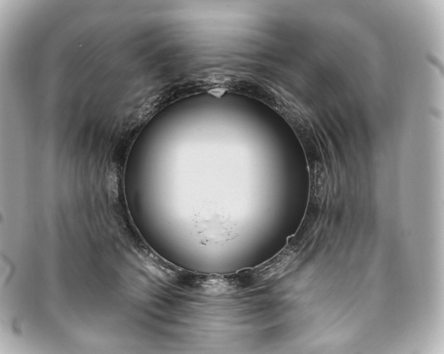 X0000095910562200802011153