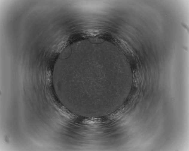 X0000095910563200802011153