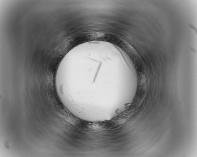 X0000095910565200802011153