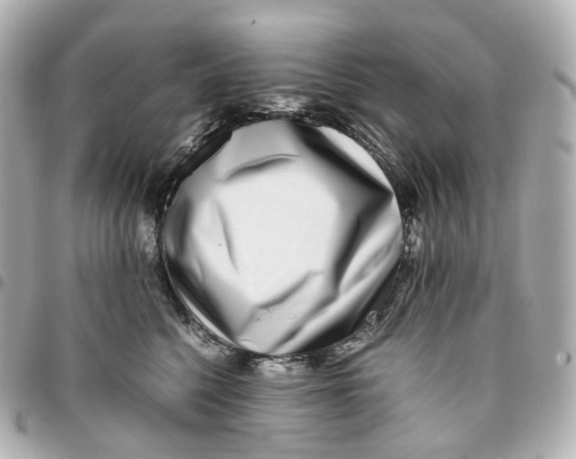 X0000095910568200802011153