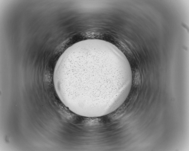 X0000095910569200802011153