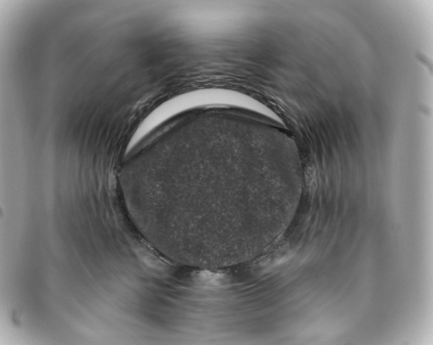 X0000095910570200802011153