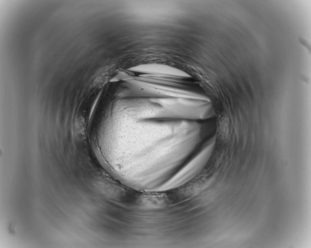 X0000095910571200802011153