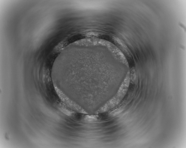 X0000095910573200802011153