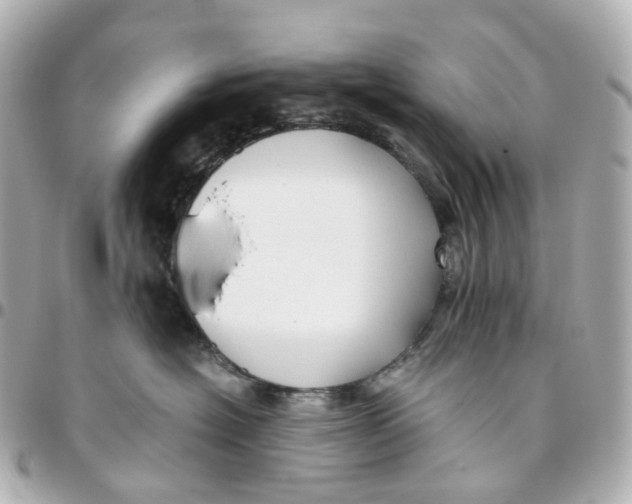 X0000095910574200802011153